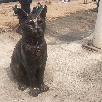 statua dedicata a gatto hendrix