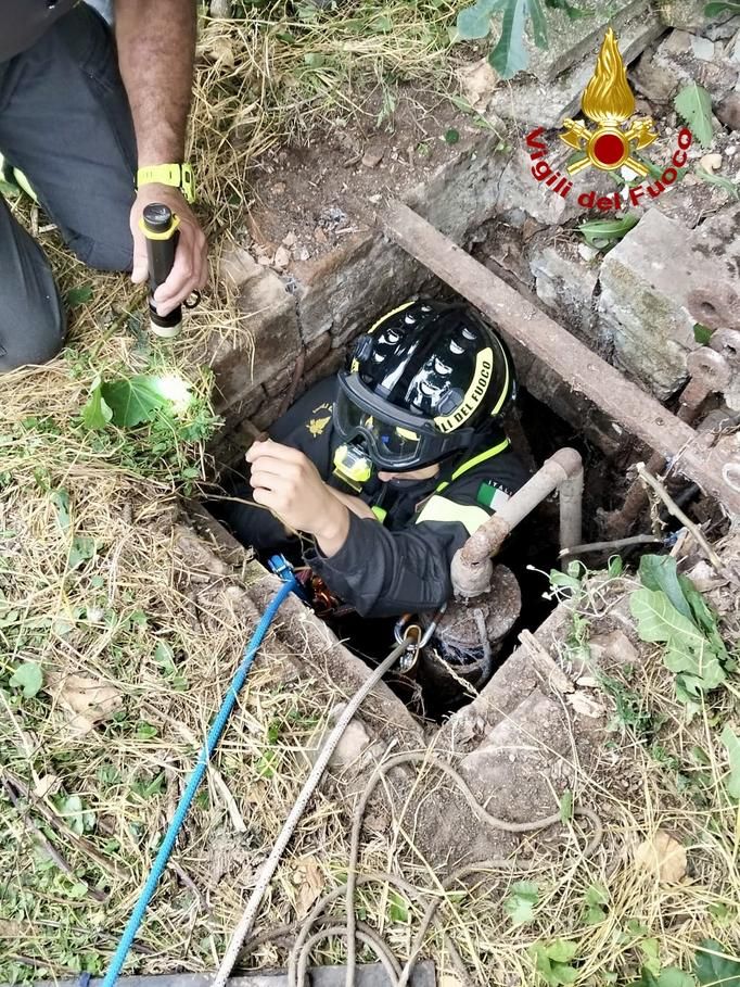 gattino finisce in un pozzo