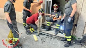 Gattino incastrato sotto un gradino della caserma: salvato e adottato dai Vigili del Fuoco di Carate Brianza