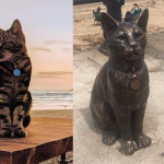 Una città intera rende omaggio al gatto Hendrix dedicandogli una statua sul lungomare