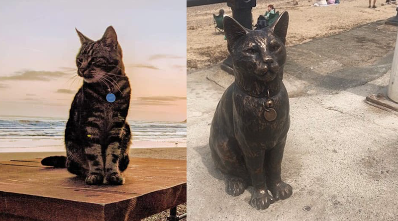 Una città intera rende omaggio al gatto Hendrix dedicandogli una statua sul lungomare