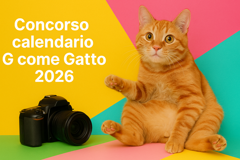 concorso calendario 2026 G come Gatto