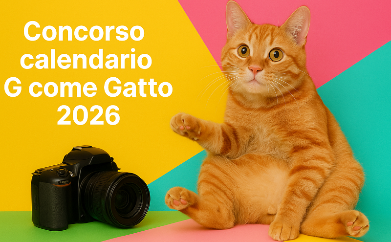 Concorso fotografico per il Calendario Gattoso 2026 di G come Gatto